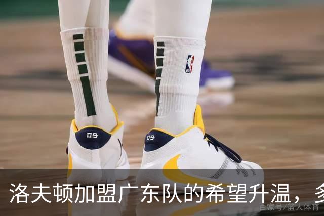 洛夫顿加盟广东队的希望升温，多队争抢CBA新星